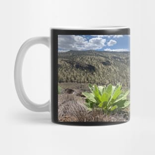 Woolly Mullien on the Sagebrush Juniper Steppe High desert Mug